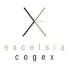 EXCELSIA AUDIT icon