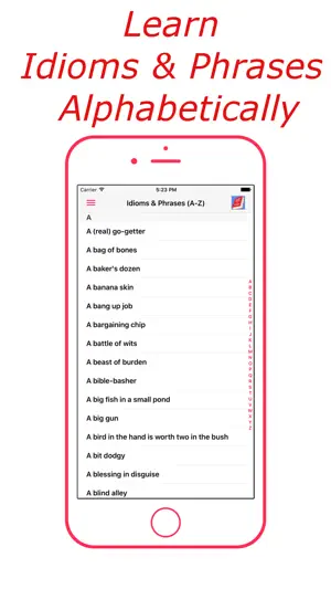 Idioms & Phrases (English) screenshot 4