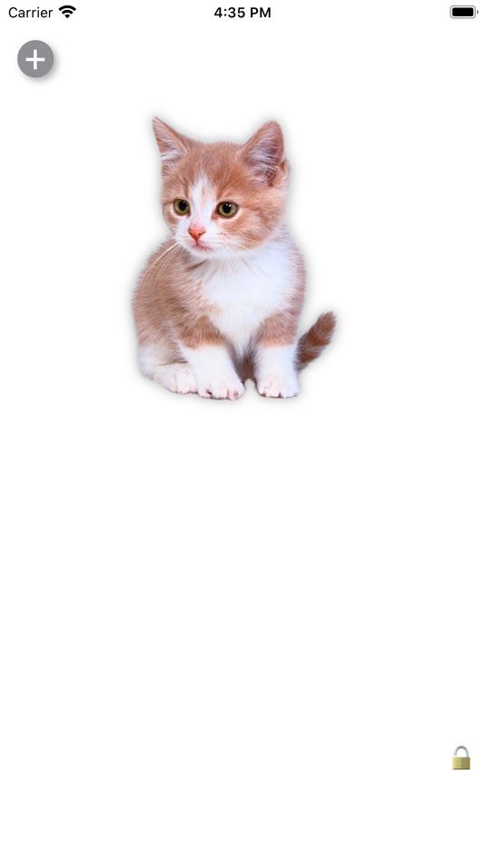 #2. Clip Paint (macOS) 由: Pannous
