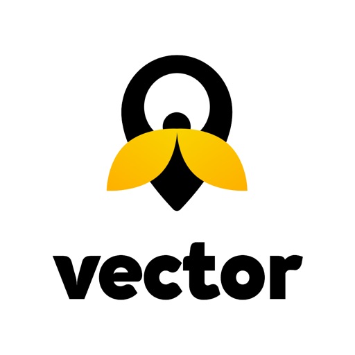 Vector by Viasat Connect icon