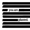 Redact: Hide Sensitive Info icon