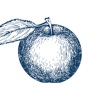 Nutricionist icon