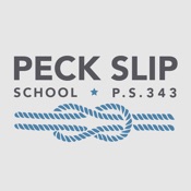 PS343 The Peck Slip School