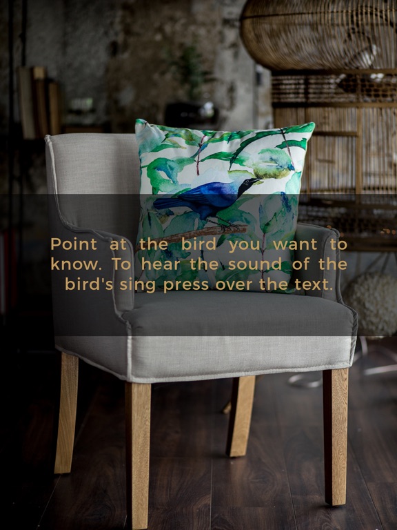 Screenshot #5 pour Liron