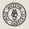 MZS Muzeum Nikifora icon