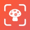 Mushroom ID・Picture Identifier icon
