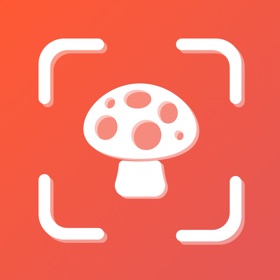 螢幕擷取畫面 (4) Mushroom ID・Picture Identifier