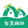 智慧椰林 icon