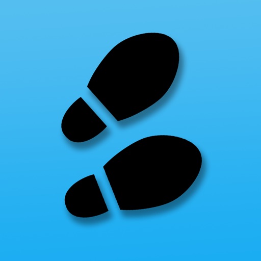 Step Year: Pedometer 2024 icon