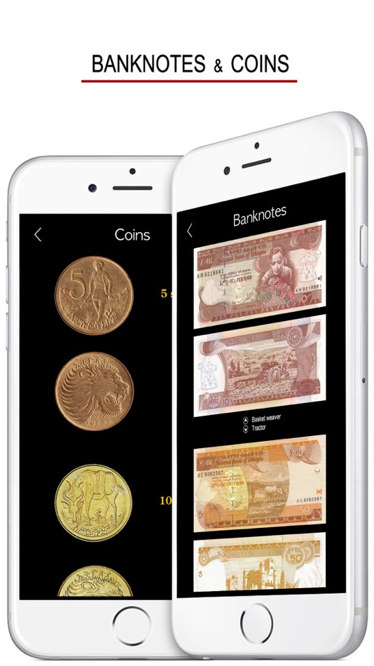 #4. Amharic Words & Writing (iOS) 来自: 俊 姜