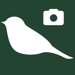 BirdyCam