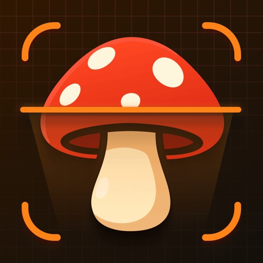 Mushroom Identifier: FungiPeek