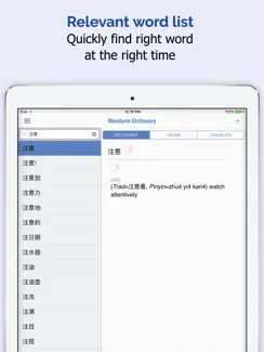 Mandarin Chinese Dictionary + iPad image 2
