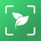 Plant Snap identifies 1,000,000+ plants every day with 98% accuracy - better than most human experts