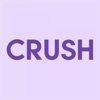 CRUSH the Memory icon