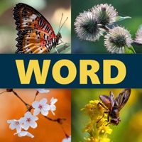 Word 4 Pics Puzzle