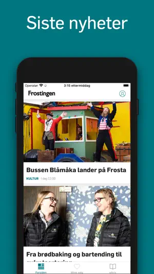 Frostingen screenshot 3