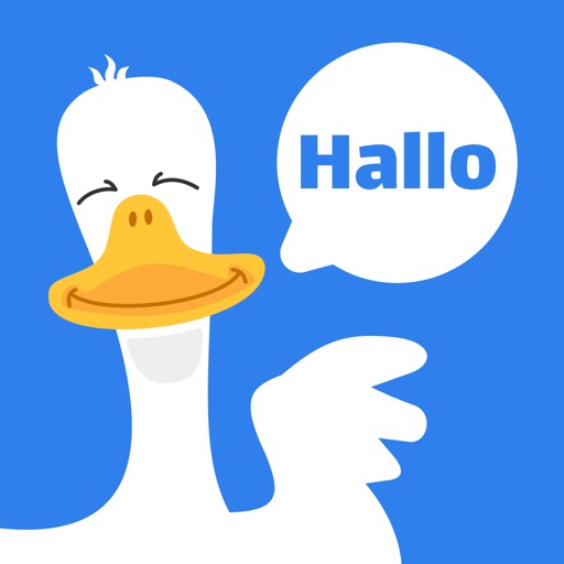 Learn Dutch Easily Goospeak