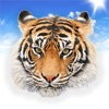 Amazing Animal Sounds icon