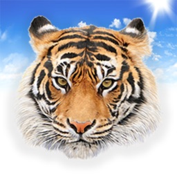 Amazing Animal Sounds