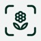 Scan, organize and learn to recognize all the plants around you using your iPhone