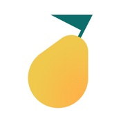 Pyrus · Team Communication