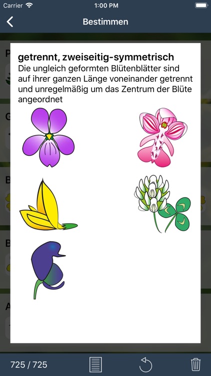 Feldbotanik screenshot-3