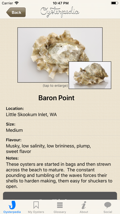 Oysterpedia Screenshot 4 of 4