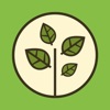 Nutricar icon