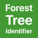 Forest Tree Identifier - アプリアイコン