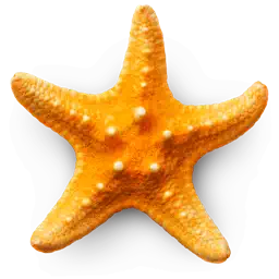 Sandy Beach 3D app icon