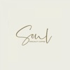 Soul | سول icon
