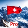 Einbürgerung Schweiz - Pro icon