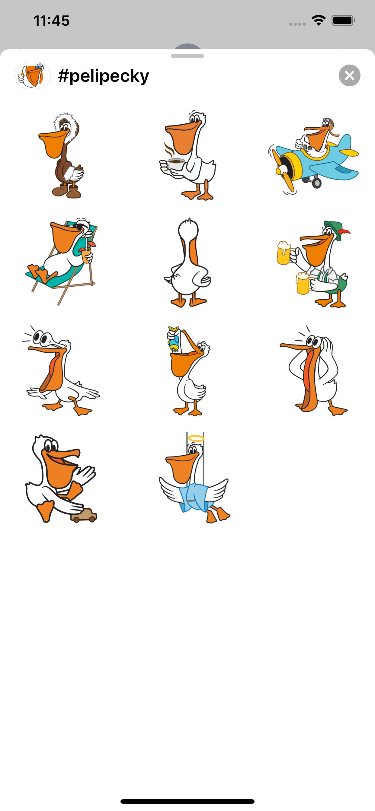 Pelipecky