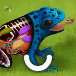 The Animals - Games For Kids App Problems