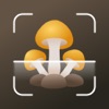 Mushroom identifier Picture ID icon