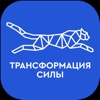 Трансформация силы 2024 icon