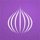 TOR Browser: OrNET Onion + VPN
