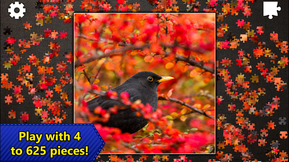 #5. Jigsaw Puzzles Epic (iOS) 来自: Kristanix AS