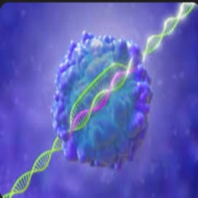 Screenshots (6) Enzyme Pathways