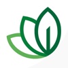 Semear icon