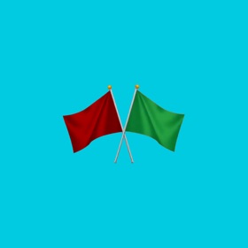Red Flag Green Flag