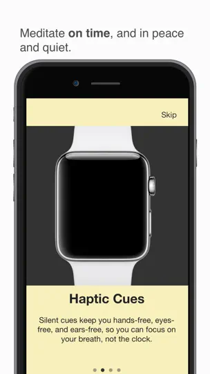 Screenshot von Silo Zen - Haptic Meditation auf dem iPhone 3