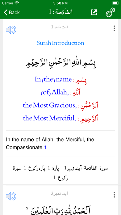 Screenshot #3 pour Tafheem ul Quran - English