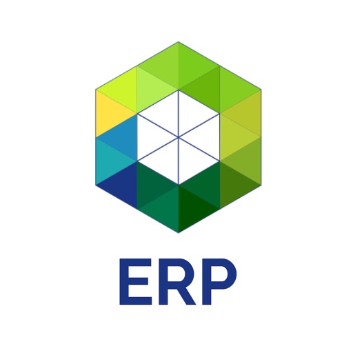 AO ERP