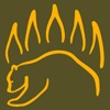Knot IQ - The Bear Essentials icon