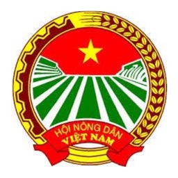 Chợ nông sản Đắk Lắk