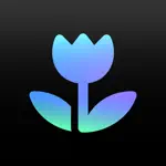 PixelWiz AI Photo Editor App Support