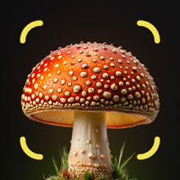 Mushroom Identifier Finder AI