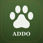 Addo Safari